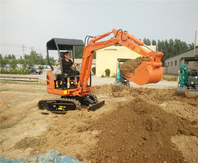 小型挖掘機(jī) 小型挖掘機(jī)